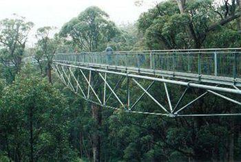 Tree Top Walk Motel วอลโพล ภายนอก รูปภาพ